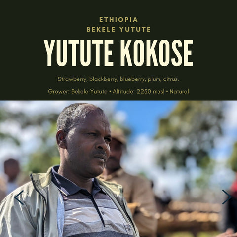 Ethiopia Bekele Yutute Kokose single origin coffee from Ethiopia