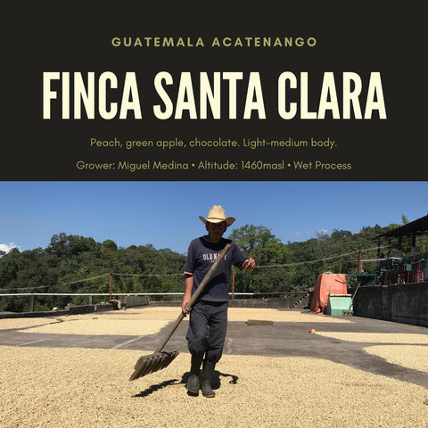 Finca Santa Clara specialty coffee farm in Acatenango, Guatemala