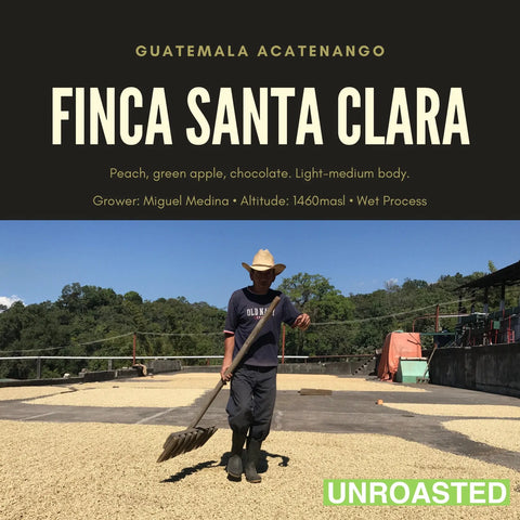Guatemala Finca Santa Clara Caturra green coffee beans micro-lot