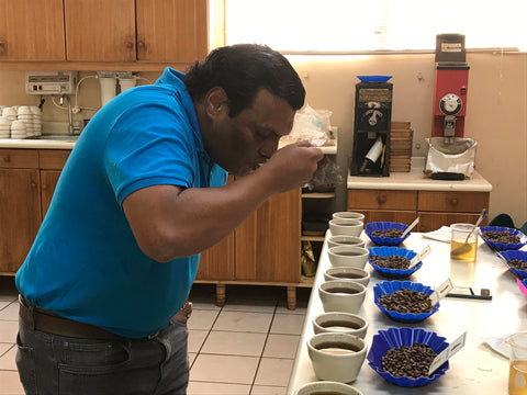 Coffee cupping and quality testing