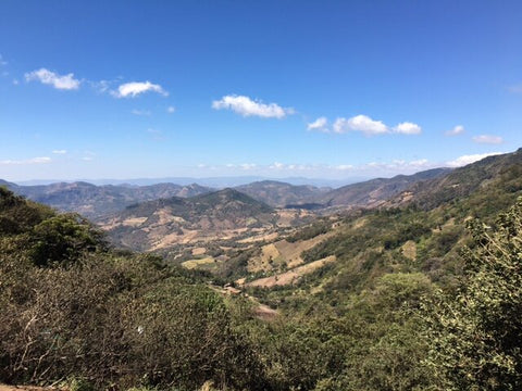 Coffee growing region landscape used in espresso blend