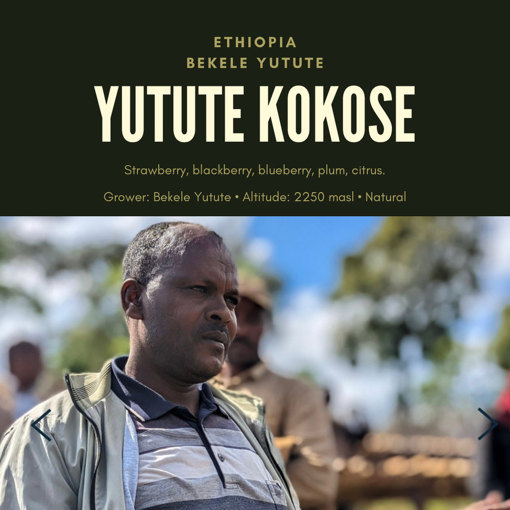 Ethiopia Bekele Yutute Kokose single origin coffee from Ethiopia