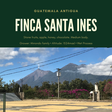 Finca Santa Ines coffee farm in Antigua Guatemala near volcanic region