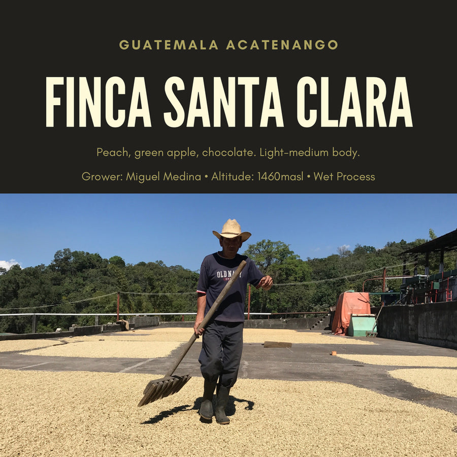 Guatemala Finca Santa Clara