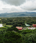 Coffee farm landscape in Copán Honduras at Finca Terrerito
