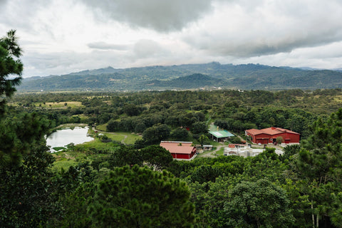 Coffee farm landscape in Copán Honduras at Finca Terrerito