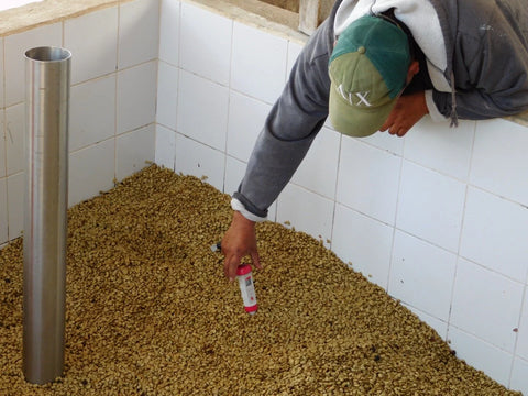 Coffee drying at San Isidro Chacaya in Atitlan Guatemala