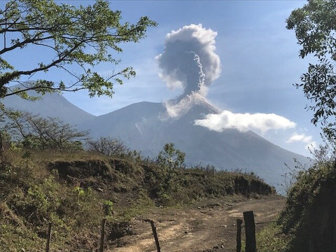 Volcanic coffee growing region in roaster’s choice selection