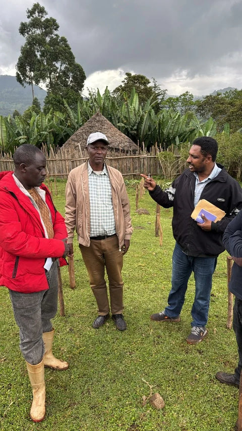 Coffee farmers discussing harvest quality at Yutute Kokose farm in Ethiopia