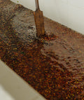 Coffee processing and washing at Finca Terrerito