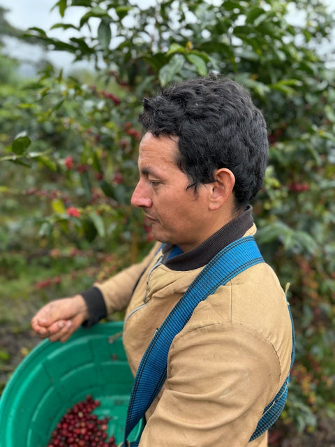 Coffee producer from the Marin Family farm in Jaén Peru