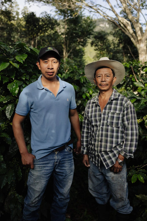 Coffee farmers from Finca Terrerito in Copán Honduras