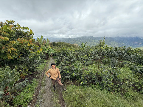 Coffee producer walking through coffee fields in Jaén Peru