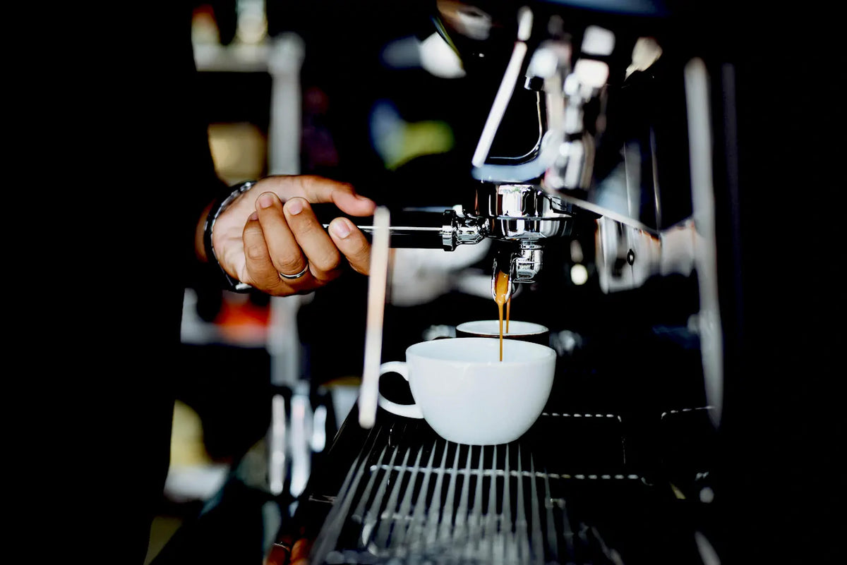 Troubadour Coffee Roasters